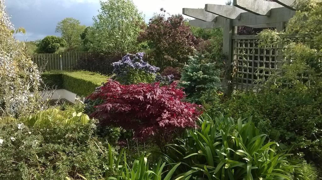 Dunbur Lodge Wicklow Exterior foto