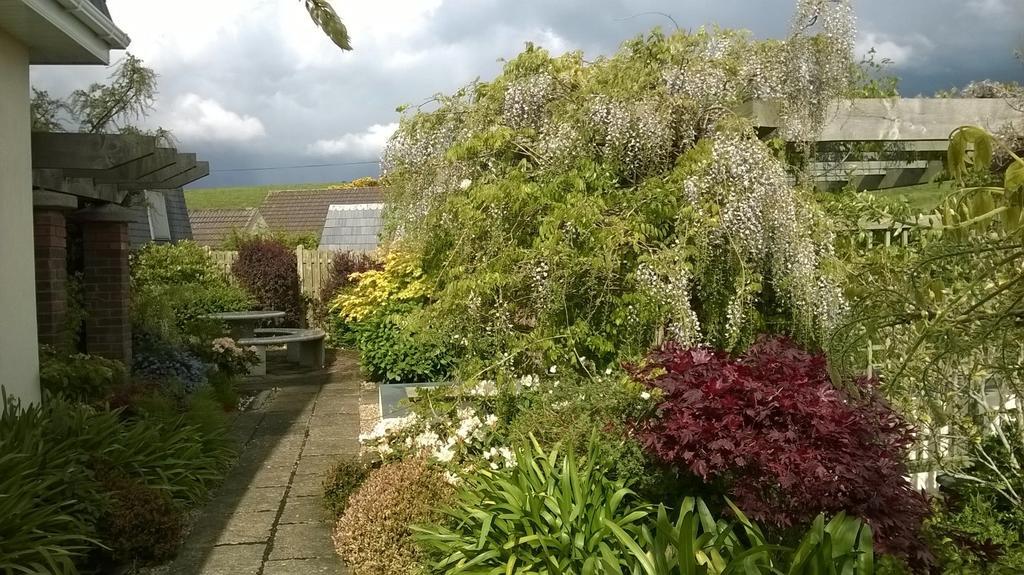 Dunbur Lodge Wicklow Exterior foto